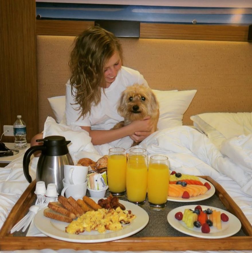 This Little Stray Dog Ended Up Travelling The World With Her New Mom! This Little Stray Dog Ended Up Travelling The World With Her New Mom!