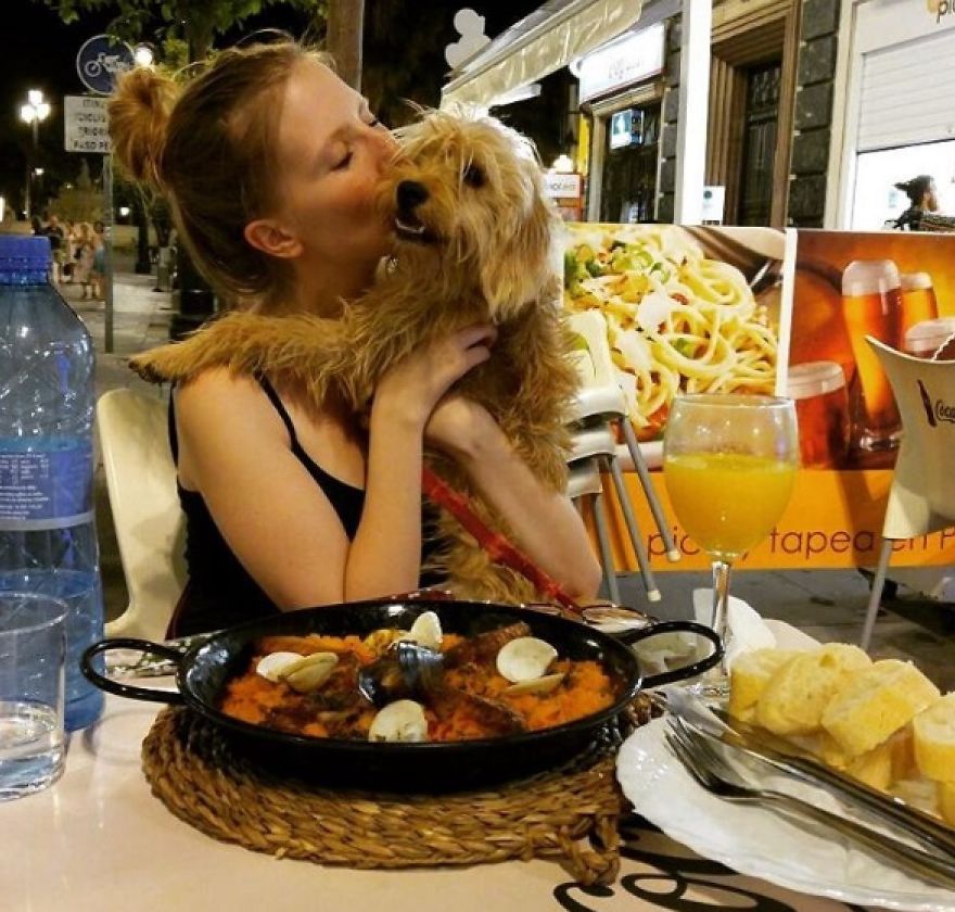 This Little Stray Dog Ended Up Travelling The World With Her New Mom! This Little Stray Dog Ended Up Travelling The World With Her New Mom!