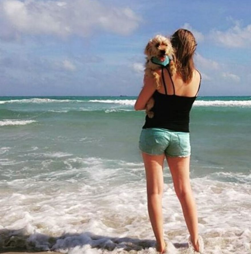 This Little Stray Dog Ended Up Travelling The World With Her New Mom! This Little Stray Dog Ended Up Travelling The World With Her New Mom!