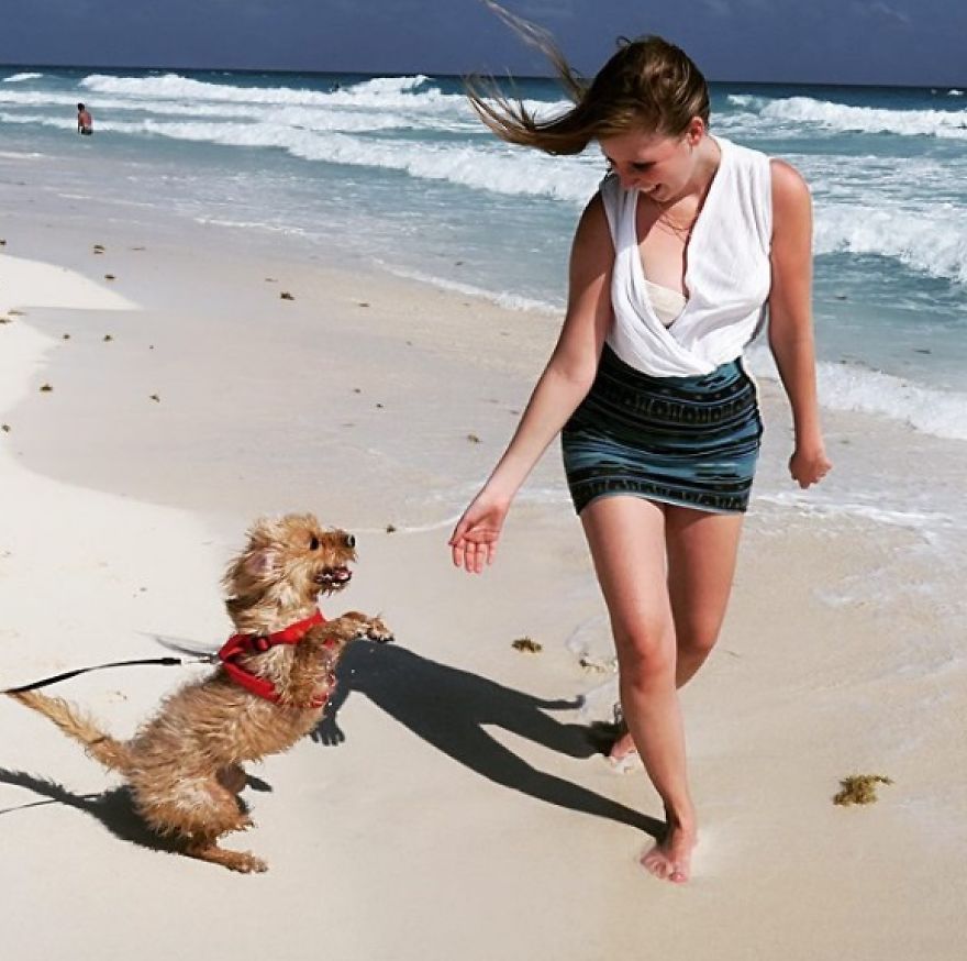 This Little Stray Dog Ended Up Travelling The World With Her New Mom!