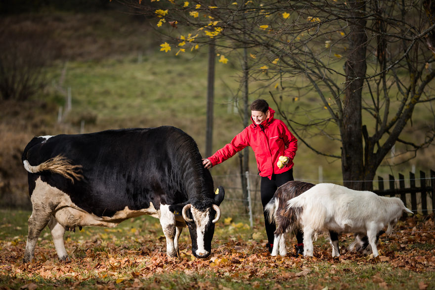 The First Farmed Animal Sanctuary In The Baltic States