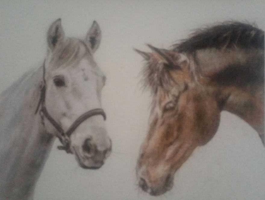 My Attempts At Photo-Realistic Images Using Pencil