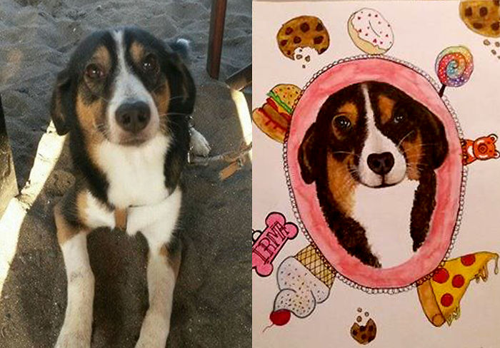 My Friends Food-loving Dog,irma