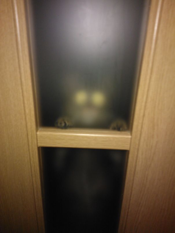 I Want To Eat Your Brain...