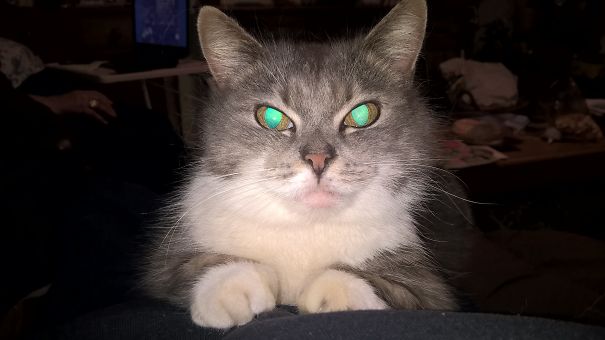 Looks Deceive Whats Really Going On In There.