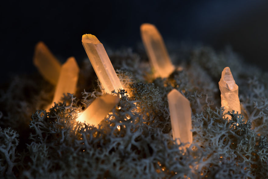We Make Unique Lamps From Real Crystals And Moss We Make Unique Lamps From Real Crystals And Moss