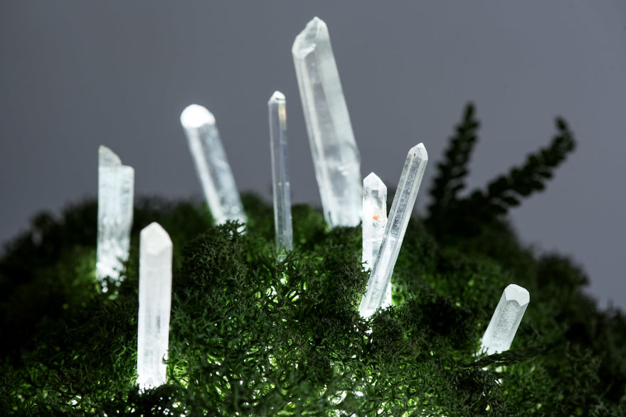 We Make Unique Lamps From Real Crystals And Moss We Make Unique Lamps From Real Crystals And Moss