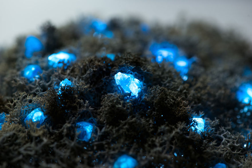 We Make Unique Lamps From Real Crystals And Moss