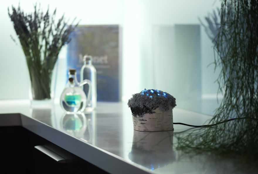 We Make Unique Lamps From Real Crystals And Moss We Make Unique Lamps From Real Crystals And Moss