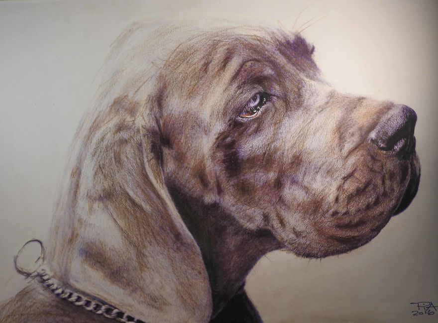 My Attempts At Photo-Realistic Images Using Pencil