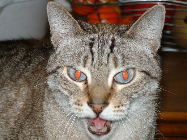 You Gonna Die... Soon