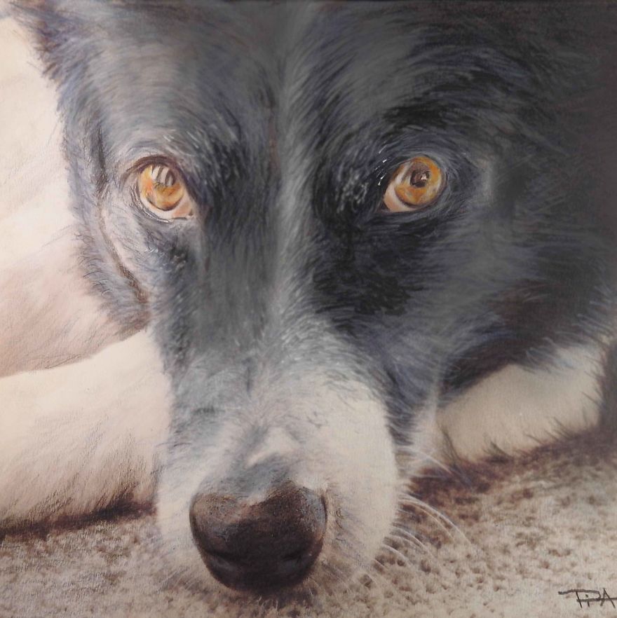 My Attempts At Photo-Realistic Images Using Pencil