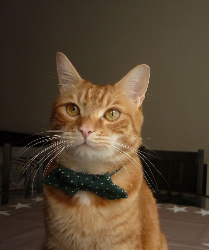 "im Sick Of Your Shit Zulie"