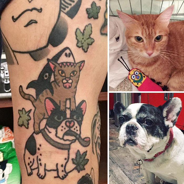 Pet tattoos by South Korean artist featuring a cat and dog, with photos of the original pets for comparison.