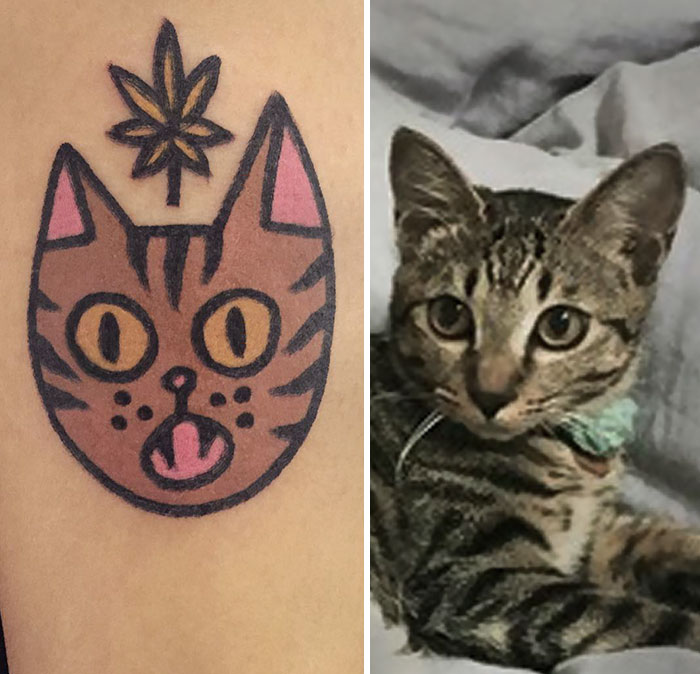 Tattoo of a cat inspired by a pet, created by a South Korean tattoo artist.