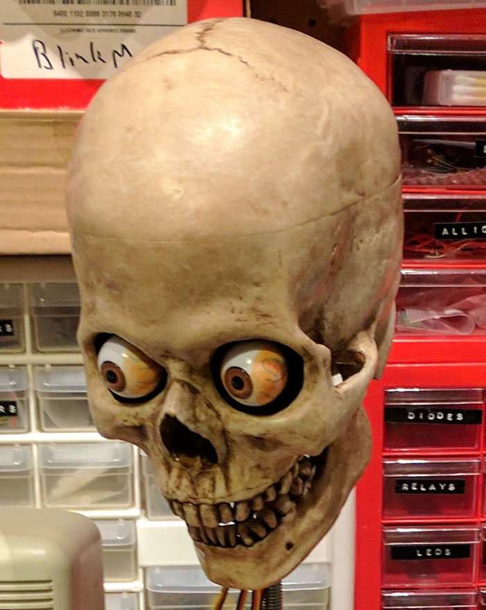 amazon-alexa-skull-project-yorick-mike-mcgurrin-1 amazon-alexa-skull-project-yorick-mike-mcgurrin-1