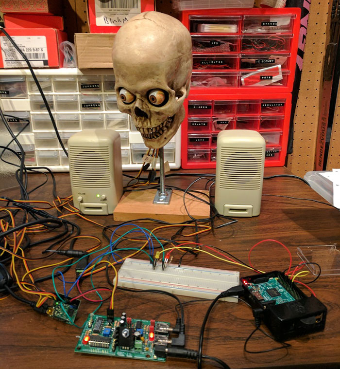amazon-alexa-skull-project-yorick-mike-mcgurrin-6 amazon-alexa-skull-project-yorick-mike-mcgurrin-6