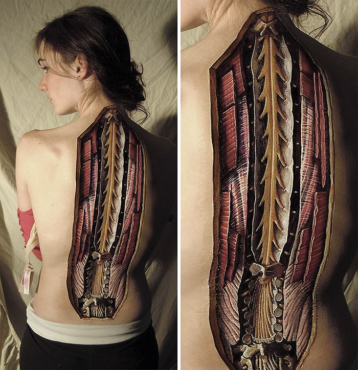 Realistic Anatomical Paintings Reveal The Structures That Lie Beneath Our Skin