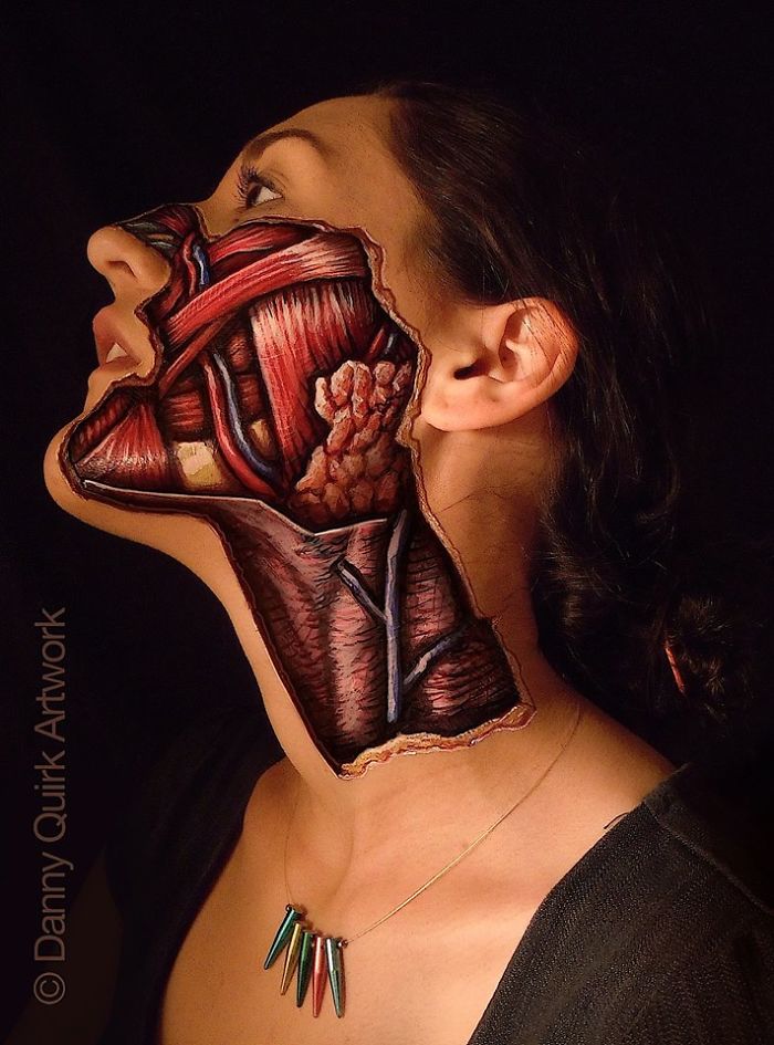 Realistic Anatomical Paintings Reveal The Structures That Lie Beneath Our Skin