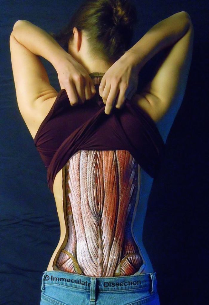 Realistic Anatomical Paintings Reveal The Structures That Lie Beneath Our Skin