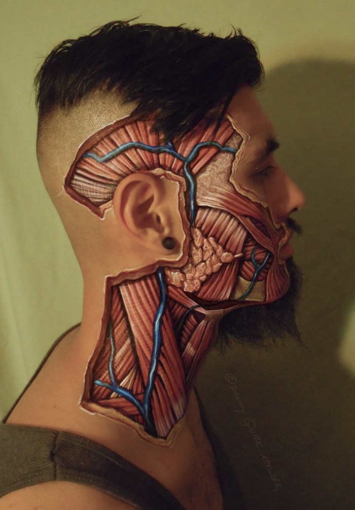 Realistic Anatomical Paintings Reveal The Structures That Lie Beneath Our Skin