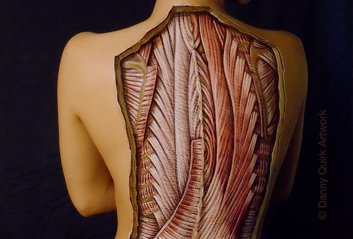 Realistic Anatomical Paintings Reveal The Structures That Lie Beneath Our Skin