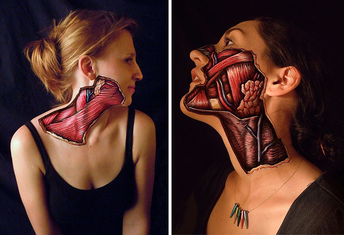 Realistic Anatomical Paintings Reveal The Structures That Lie Beneath Our Skin