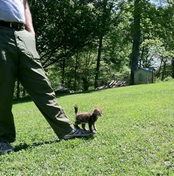 First Time She Went Outside. The Grass Is Lava