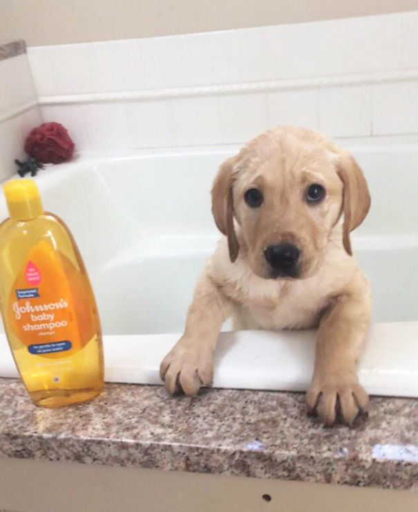 Gave The Little Guy His First Bath