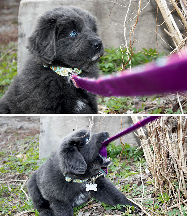 The First Walk Is Always The Most Difficult