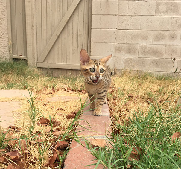 We Went Outside For The First Time Today