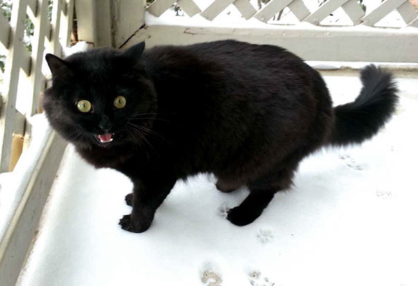 Her First Time Walking In Snow