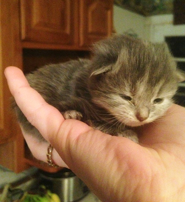 She Opened Her Eyes For The First Time Today