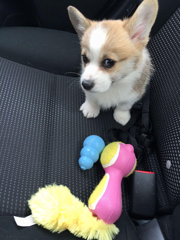 The Face She Gave Me When She Heard Her Name For The First Time