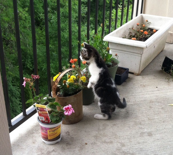 First Time Meeting The Outside World