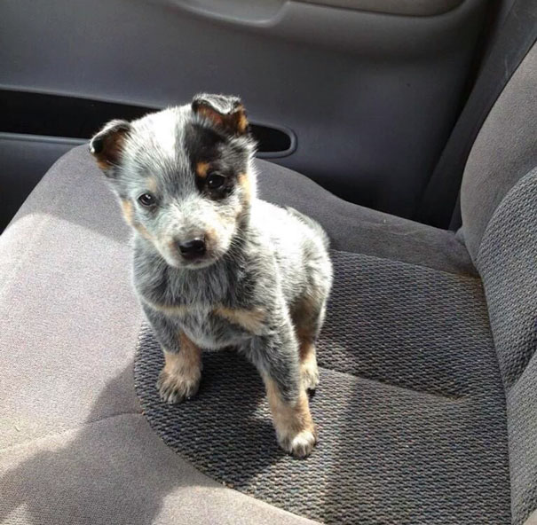 Going Home For The First Time