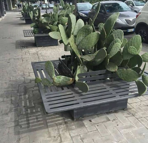 These Benches