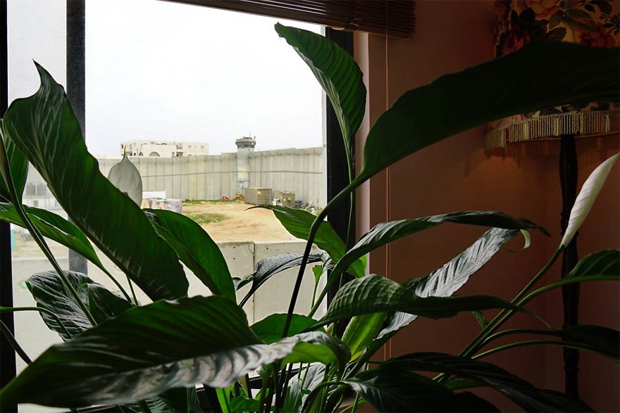 Banksy Opens "The Walled Off" Art Hotel In Palestine, And It Has The 'Worst View In The World'