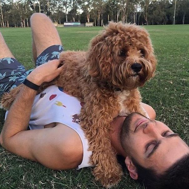 "hot Dudes With Dogs" Instagram Is The Ultimate Internet Eye Candy
