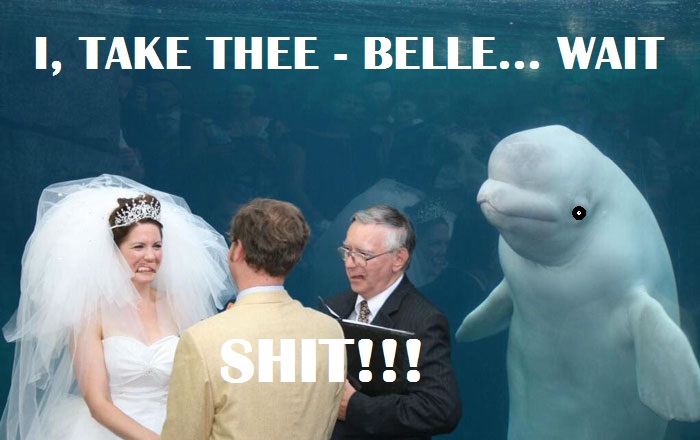 Why'd You Have To Be There, Belle??