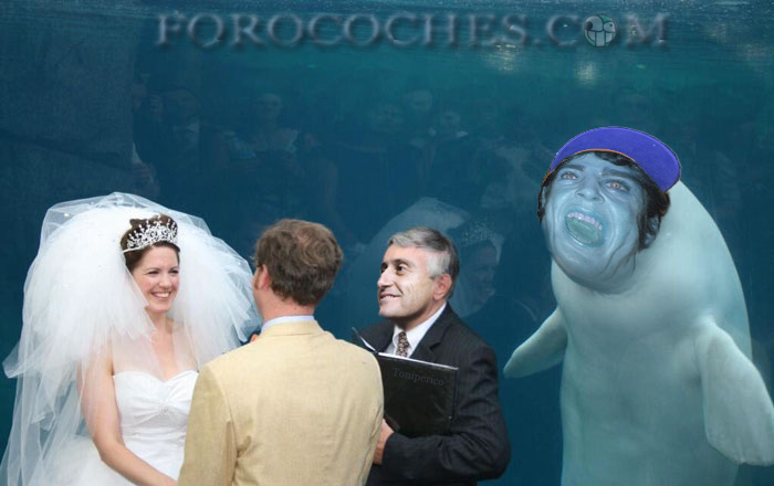 Fernando Alonso And Viyuela