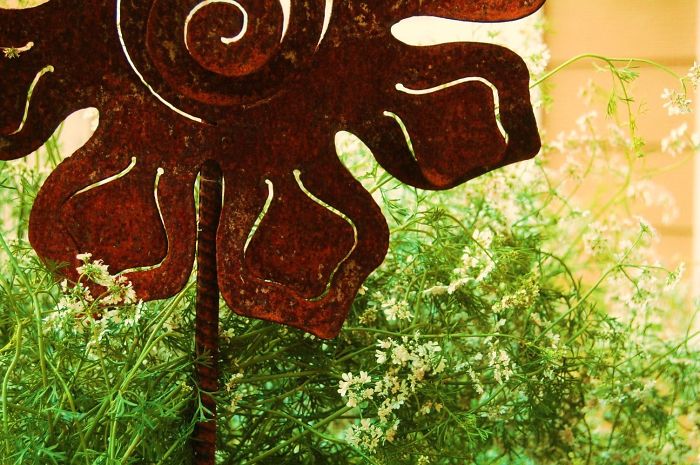 I Collect Talents And Show Their Amazing Artworks To People