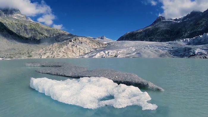 Why We Need To Love Animals