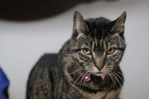 Shes Mad At Me For Taking Her Picture....