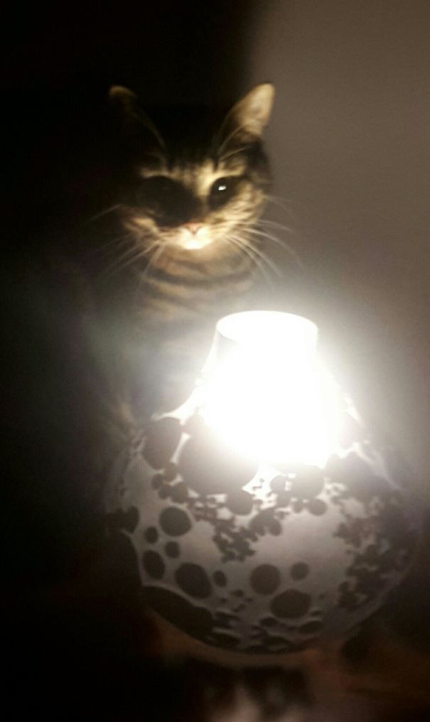 Double Double Toil And Trouble......