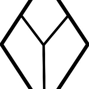 nele_leitteetlaus avatar