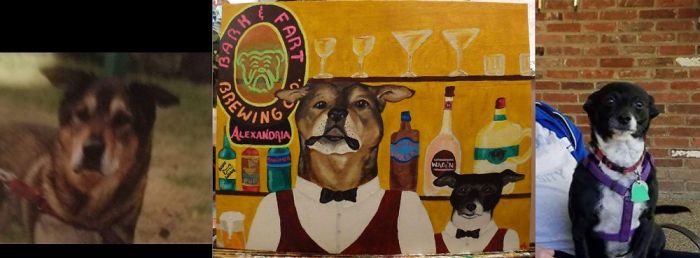 My Inlaws Dogs, Boomer & Tippy, Bartending At The Bark & Fart . Rip Boomer 💙