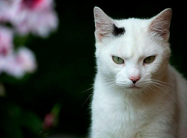 One Day, I Kill You :-d Normally He Is Sweet Guy