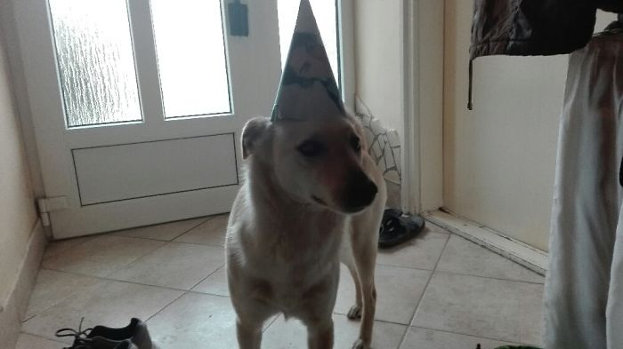 She Hate This Party Cap