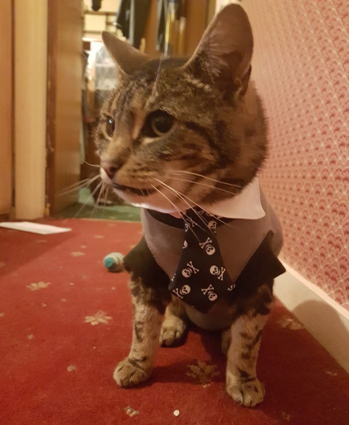 I Will Get My Men To Kill You Next